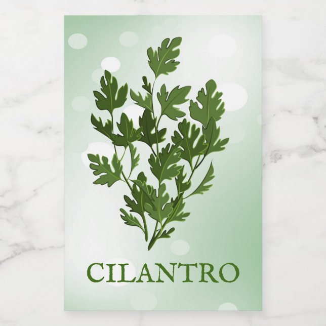 Cilantro Herbs Label (Single Label)