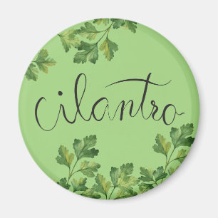 Cilatro spice magnet