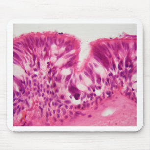 Ciliated epithelium under the microscope. mouse pad
