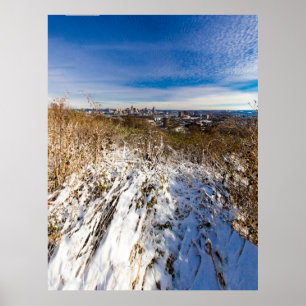 Cincinnati, Ohio Seen From Devou Park, Kentucky Poster
