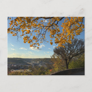 Cincinnati Park View Postcard