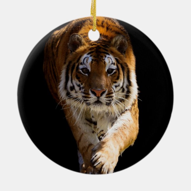 Cincinnati Tiger - Ceramic Ornament (Back)