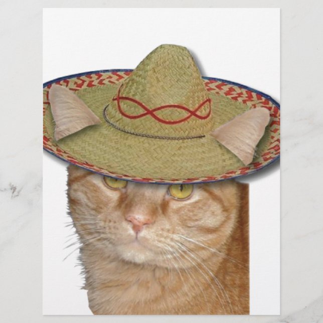 Cinco de Gato (Front)