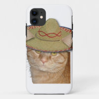 Cinco de Gato
