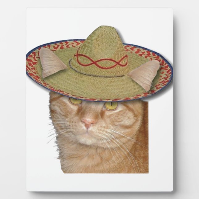 Cinco de Gato Plaque (Front)