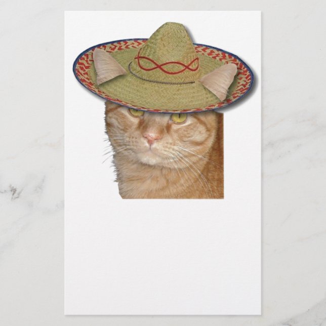 Cinco de Gato Stationery (Front)
