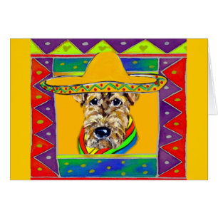 Cinco de Mayo Airedale