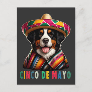 Cinco De Mayo Bernese Dog with Poncho And Sombrero Holiday Postcard