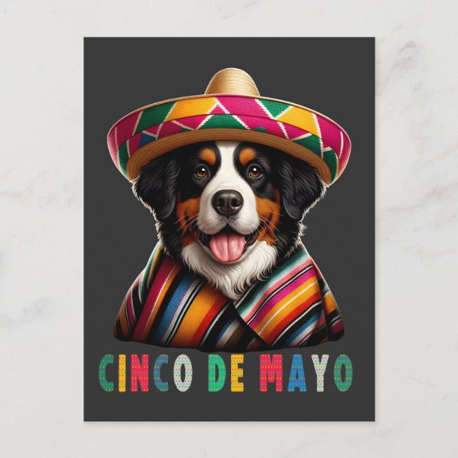 Cinco De Mayo Bernese Dog with Poncho And Sombrero Holiday Postcard (Front)