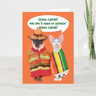 Cinco de Mayo Card