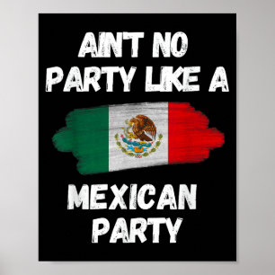 Cinco De Mayo Fiesta Mexican Birthday Party Flag D Poster