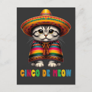 Cinco De Mayo Funny Mexican Cat Sombrero Meow Holiday Postcard