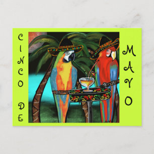 CINCO DE MAYO PARROTS  POSTCARD