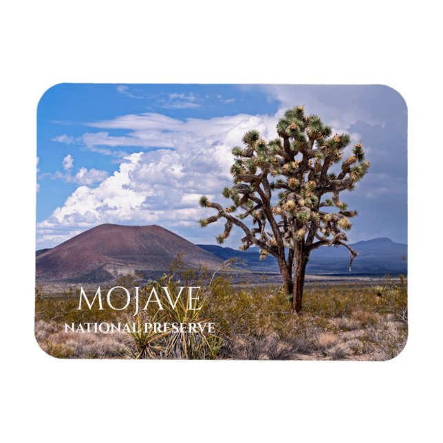 Cinder Cones, Joshua Tree, Mojave N Preserve, CA Magnet (Horizontal)
