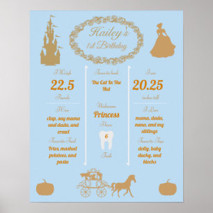 Cinderella Baby's 1st Birthday Milestones Poster