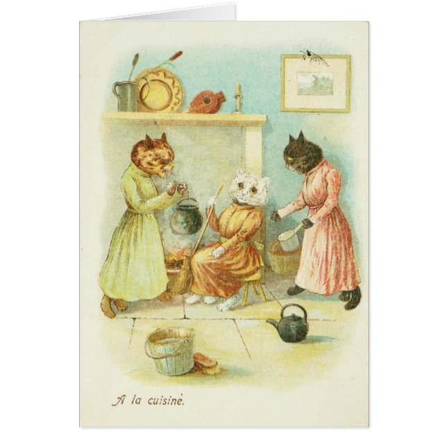 Cinderella Cat (Front)