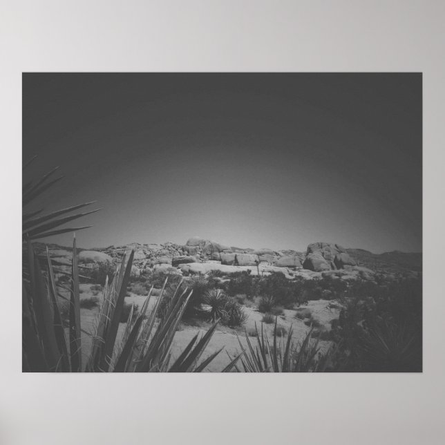 Cinematic Black and White Joshua Tree Boulders Poster (Front)