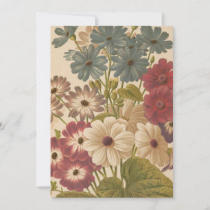 Cineraria George Nicholson