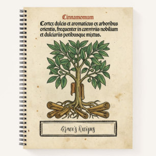 Cinnamologus Nest: Cinnamon Mediaeval Recipe Notebook