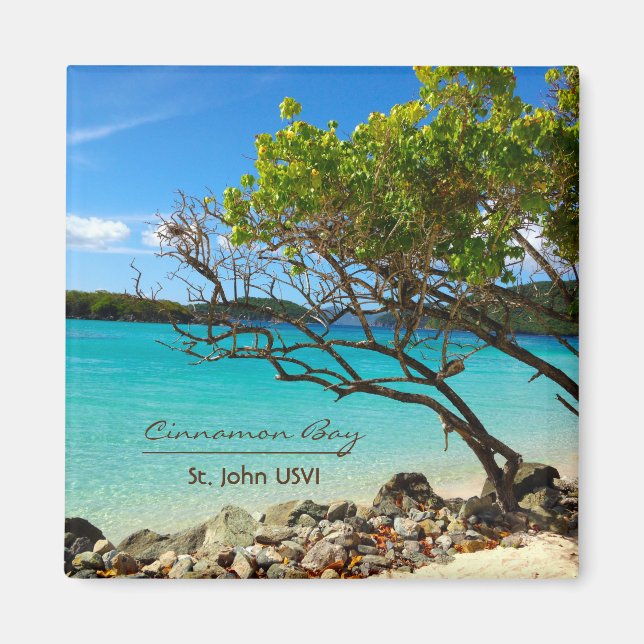 Cinnamon Bay St. John USVI Magnets (Front)