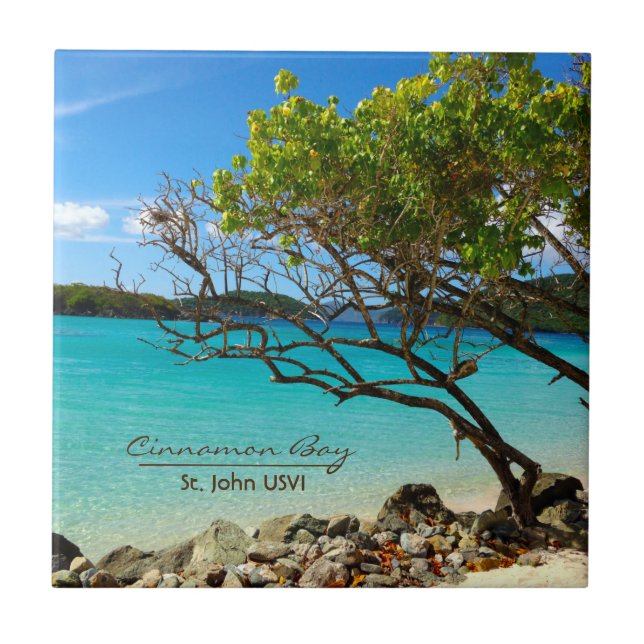 Cinnamon Bay St. John USVI Tropical Tile Art (Front)