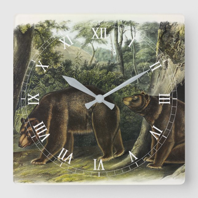 Cinnamon Bear from Audubon's Quadrupeds Square Wall Clock (Front)
