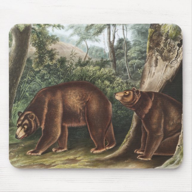 Cinnamon Bear (Ursus Americanus var. Cinnamonum) Mouse Pad (Front)