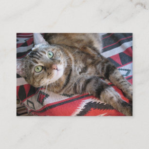 cinnamon cat aceo atc business card