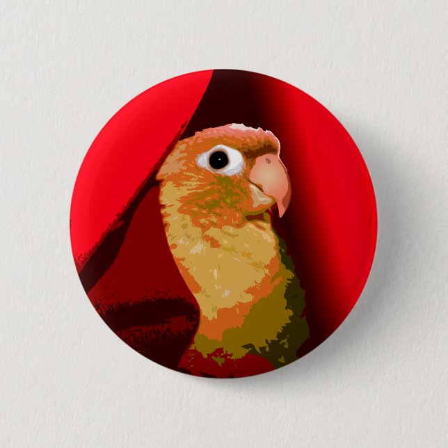 Cinnamon Green Cheek Conure Parakeet Pet Bird 6 Cm Round Badge (Front)