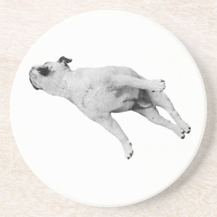 Cinnamon Pause Coaster