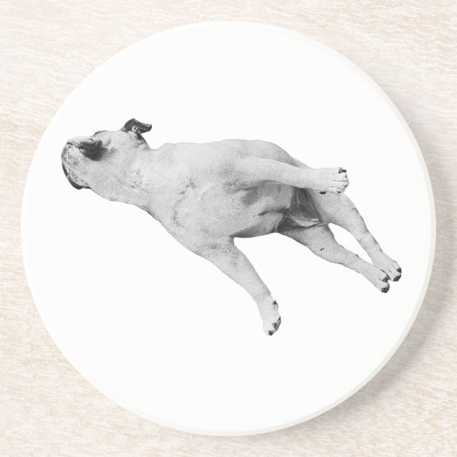 Cinnamon Pause Coaster (Front)