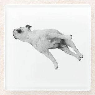 Cinnamon Pause Glass Coaster