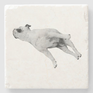 Cinnamon Pause Stone Coaster