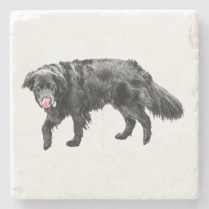 Cinnamon Steam, Scarlet Lick Stone Coaster