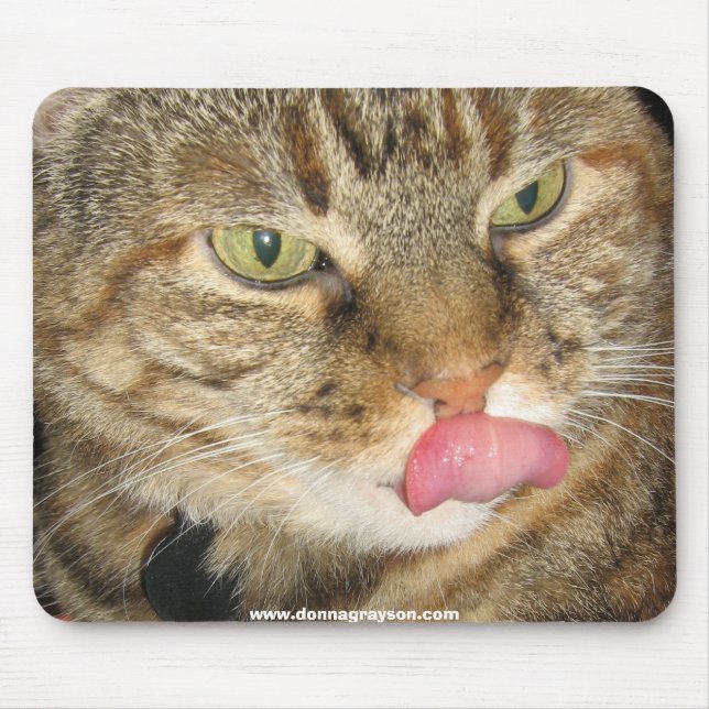 Cinnamon the Cat Mousepad (Front)