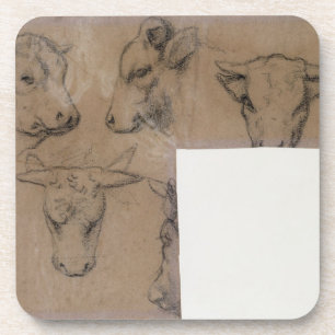 Cinq Croquis de tete de vache (pencil on paper) Coaster