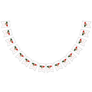 Cinqo de Mayo Bunting