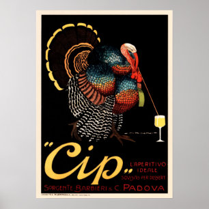 CIP THE PERFECT APERITIF Italian Vintage Alcohol Poster