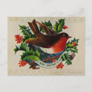 Circa 1900: A traditional Christmas robin Holiday Postcard