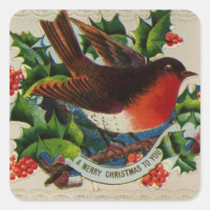Circa 1900: A traditional Christmas robin Square Sticker