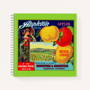 circa 1900 Appleton Apples crate label Notebook