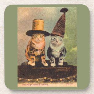 circa 1900 cats in hats RPPC Coaster