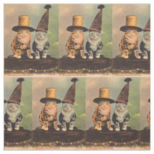 circa 1900 cats in hats RPPC Fabric