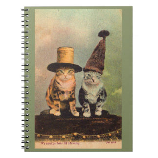 circa 1900 cats in hats RPPC Notebook