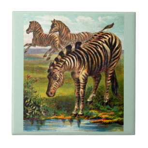 circa 1900 zebras print ceramic tile