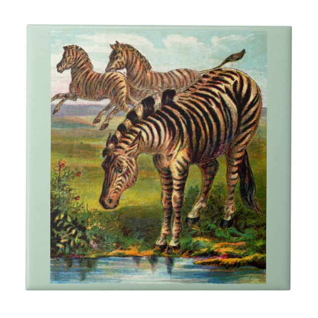 circa 1900 zebras print ceramic tile (Front)
