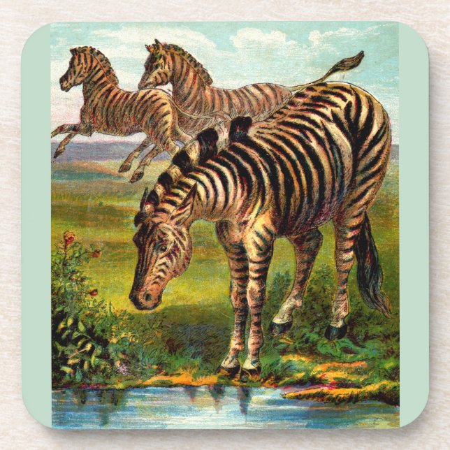 circa 1900 zebras print coaster (Front)