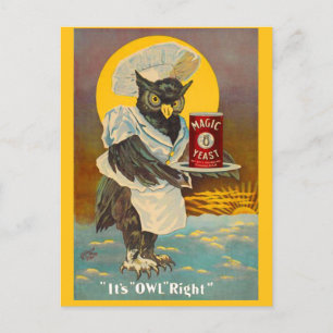 circa 1912 Magic Yeast owl ad print Postcard