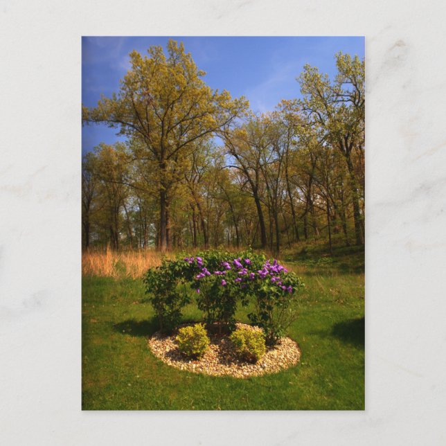 Circle Of Beauty Postcard (Front)