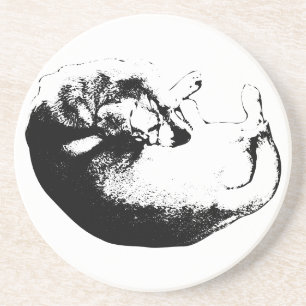 Circle of Calm Coaster